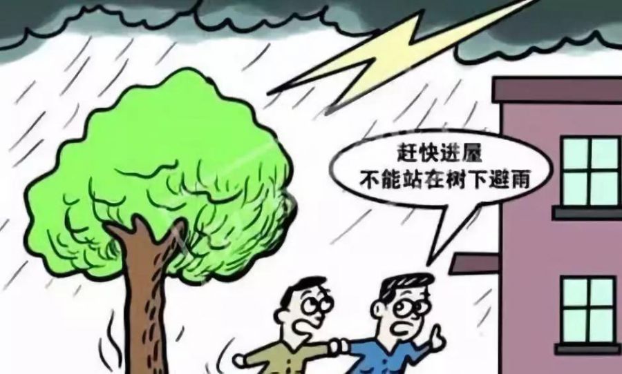 1619677450693420vUDC.jpg 5.jpg