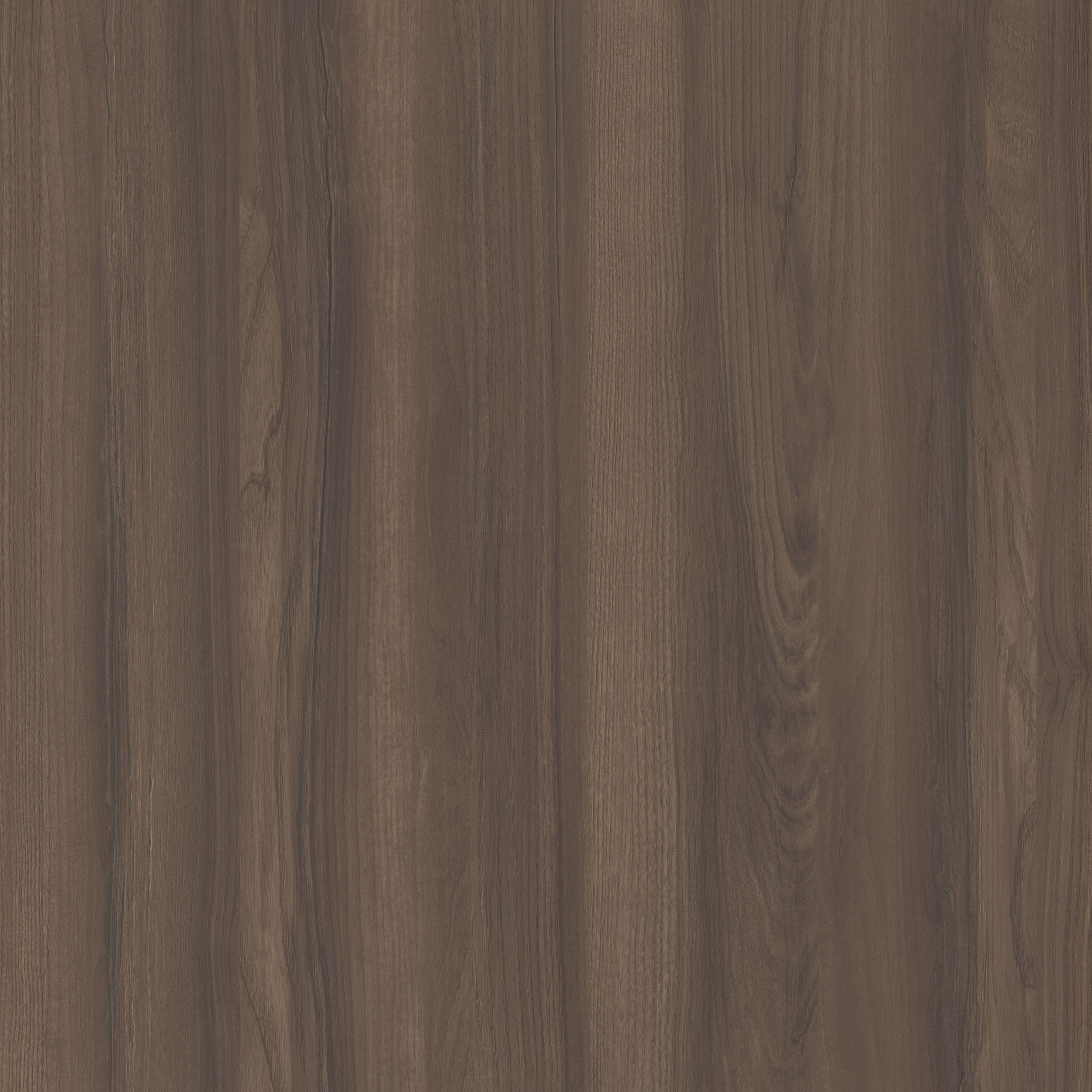 奧里諾科水曲柳